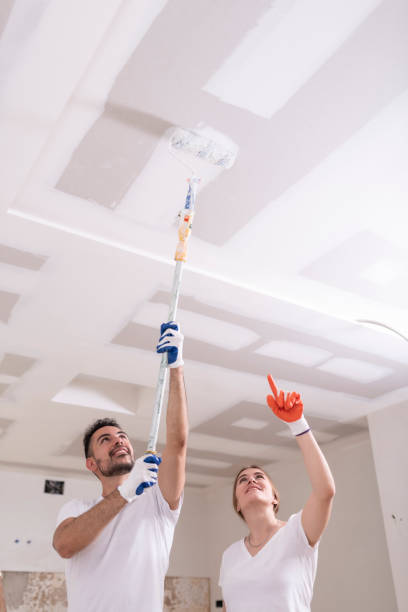 Best Basement Mold Removal  in Wilson, AR