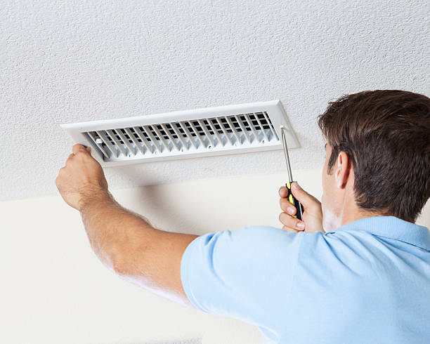 Best Air Quality Testing for Mold Spores  in Wilson, AR