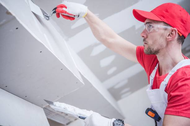 Best Water Damage & Mold Remediation  in Wilson, AR