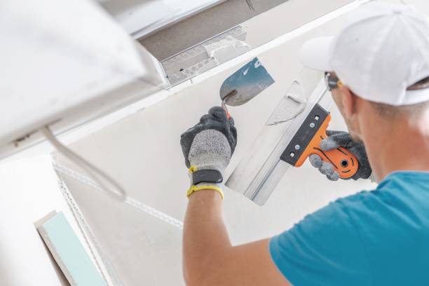 Best Environmental Consulting for Mold Prevention  in Wilson, AR